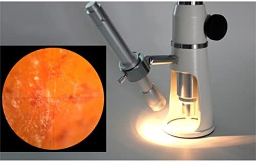 XIULAIQ Taşınabilir 100x Mini Takı Büyüteç Mikroskop Monoküler Kolu Degrade (Renk : A, Boyut: 21 * 6.3 cm)