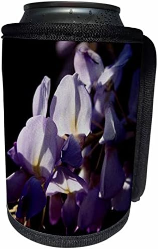 3dRose Wisteria Asma Çiçeği Siyah Kutu Soğutucu Şişe Sargılı Bulanık Arka Plan (cc-361699-1)